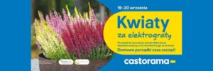 Sekret budowy wymarzonego domu we wrzosach – odkryj, ile to naprawdę kosztuje