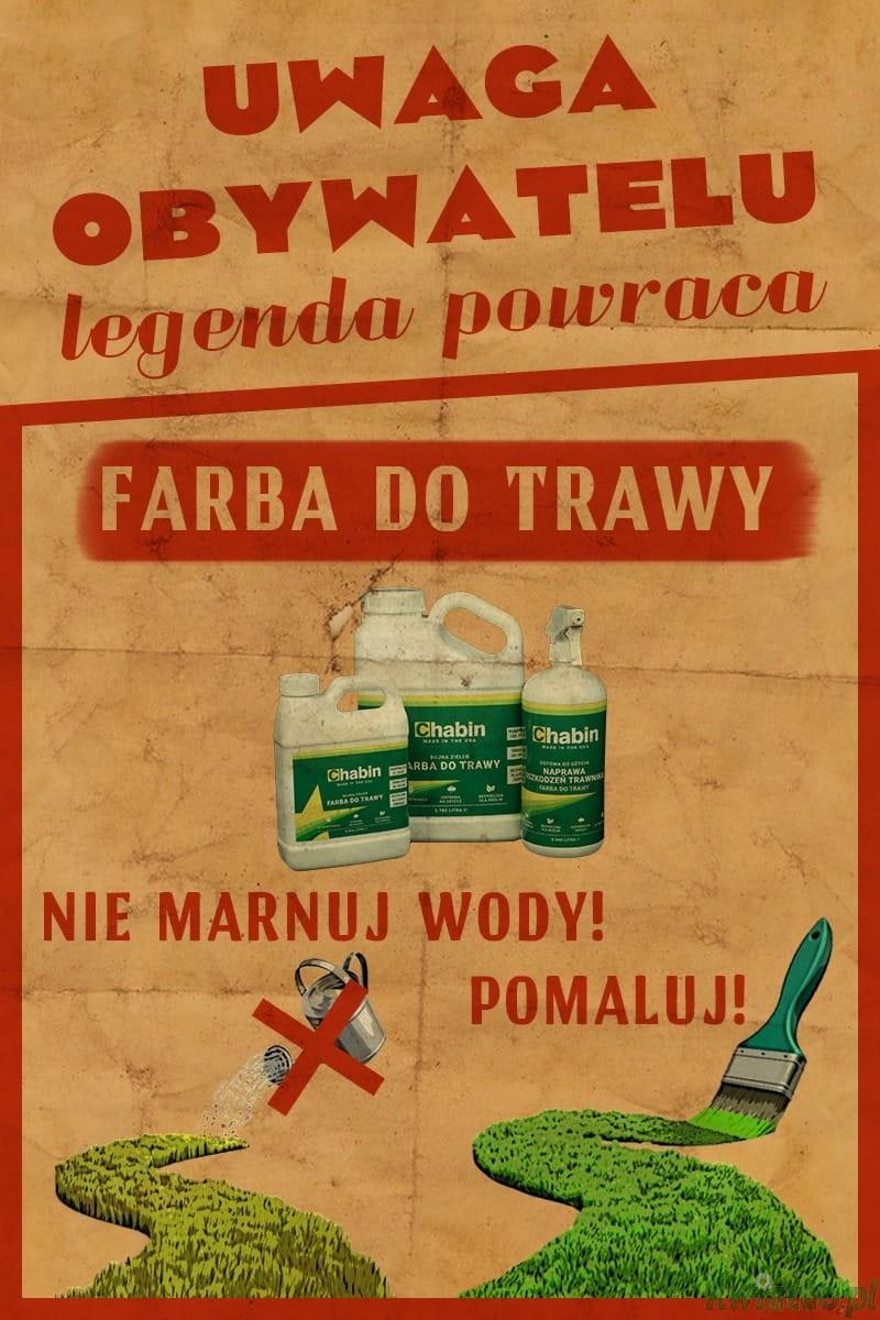 Poradnik krok po kroku dla początkujących