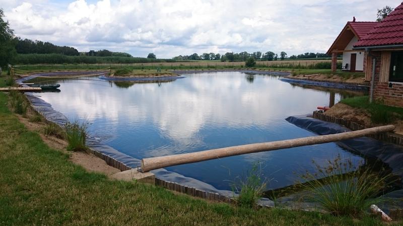 Dieta na zdrowe stawy