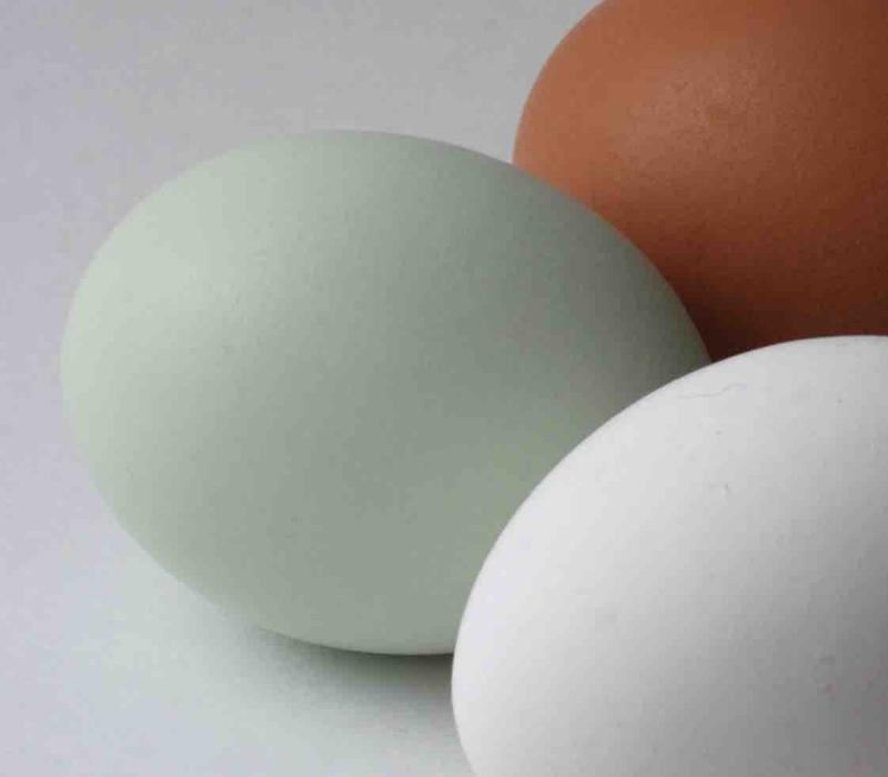 Ekologiczne farbowanie jajek