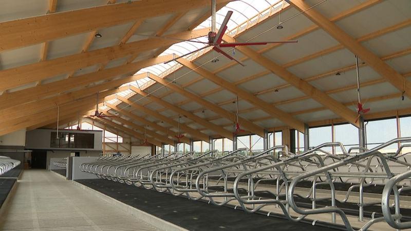 Technologie efektywności energetycznej w oborach