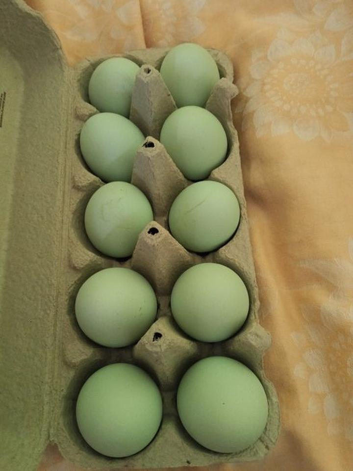 Zielone jajka wielkanocne